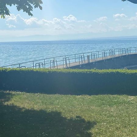 Hagnauer-Ferienwohnung Im Seegarten Dış mekan fotoğraf