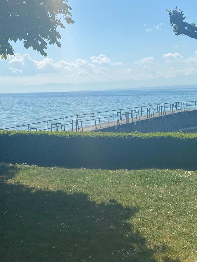 Hagnauer-Ferienwohnung Im Seegarten Dış mekan fotoğraf